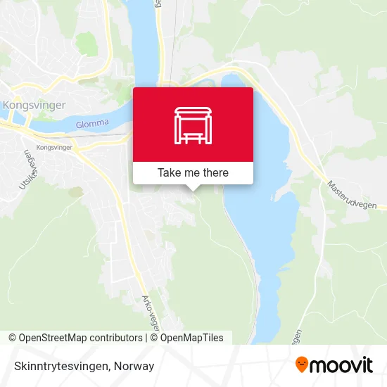 Skinntrytesvingen map