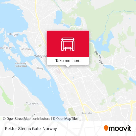 Rektor Steens Gate map