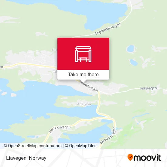 Liavegen map