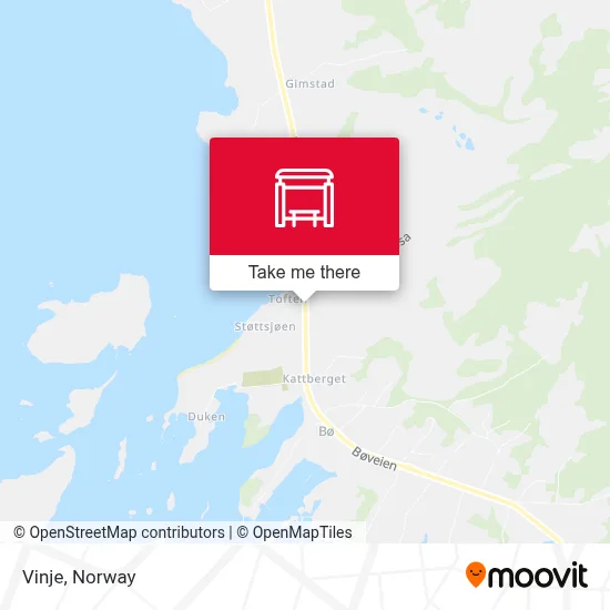 Vinje map