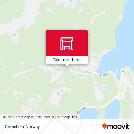 Grønnhola map