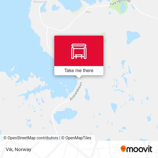 Vik map