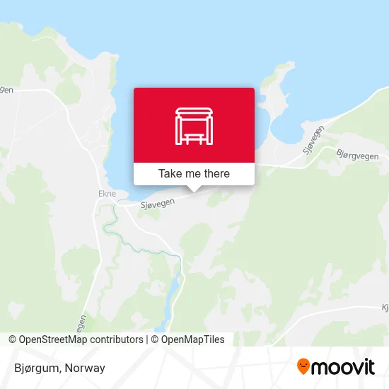 Bjørgum map