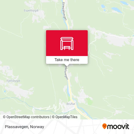 Plassavegen map