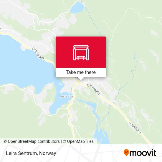 Leira Sentrum map