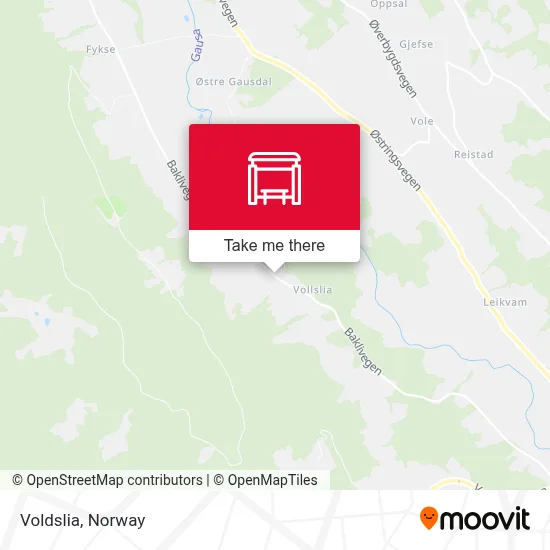 Voldslia map
