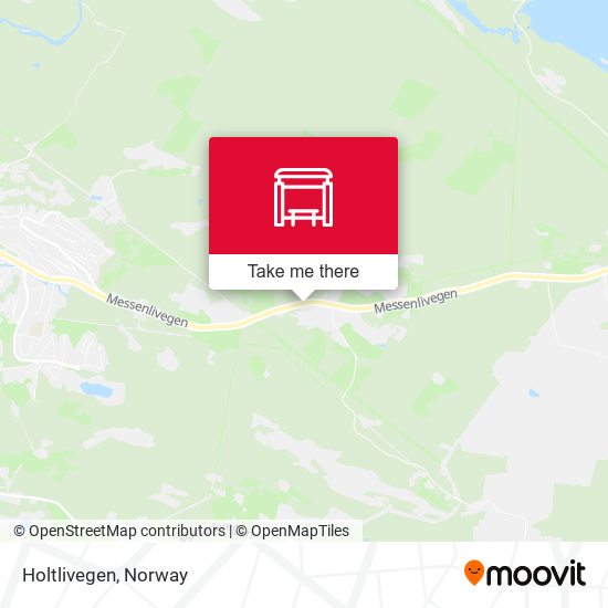 Holtlivegen map