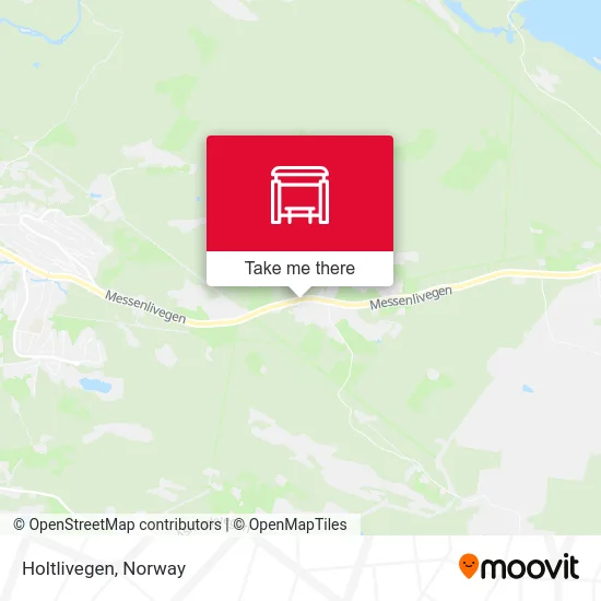 Holtlivegen map