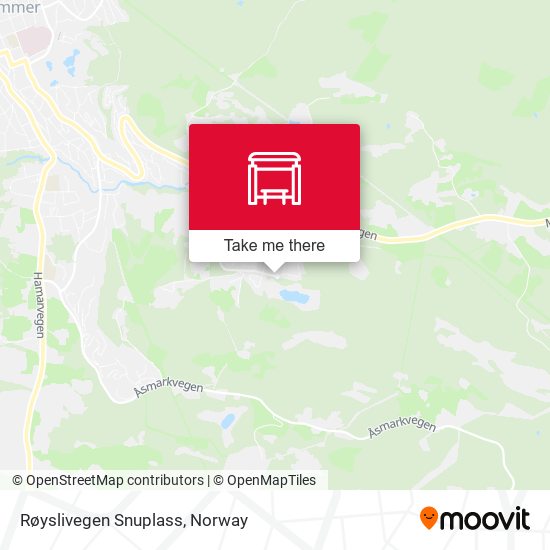 Røyslivegen Snuplass map