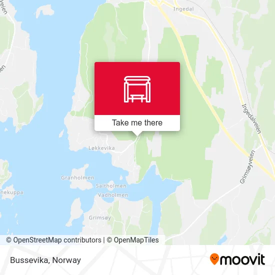 Bussevika map