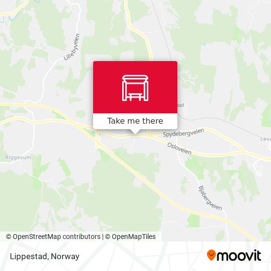 Lippestad map