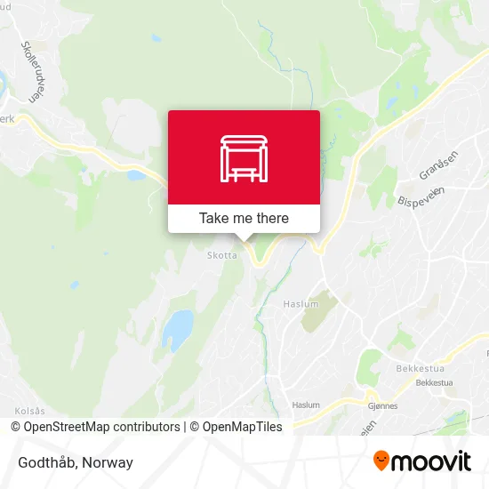 Godthåb map