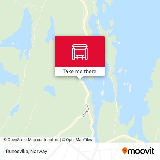 Bunesvika map