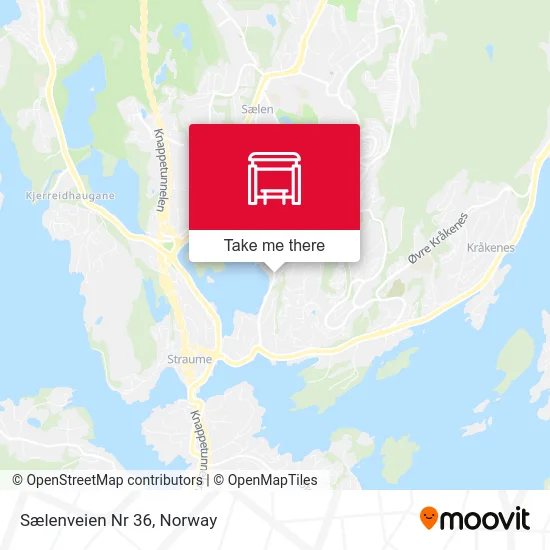 Sælenveien Nr 36 map