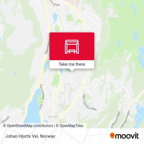 Johan Hjorts Vei map