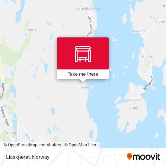 Liaskjæret map