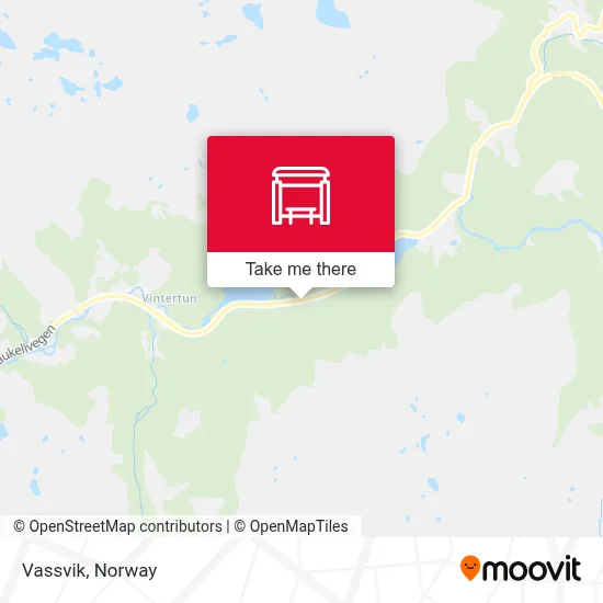 Vassvik map