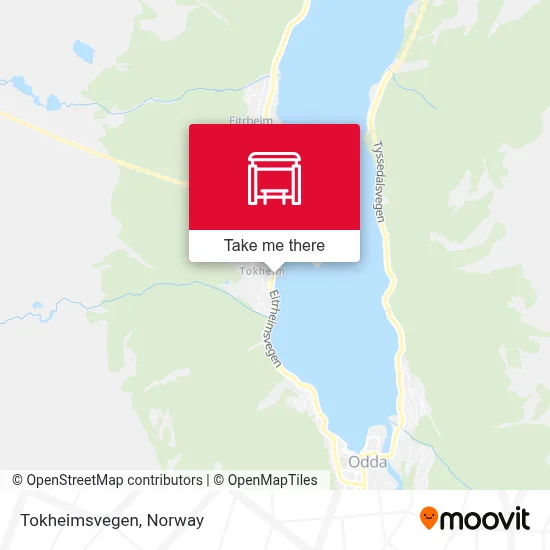 Tokheimsvegen map