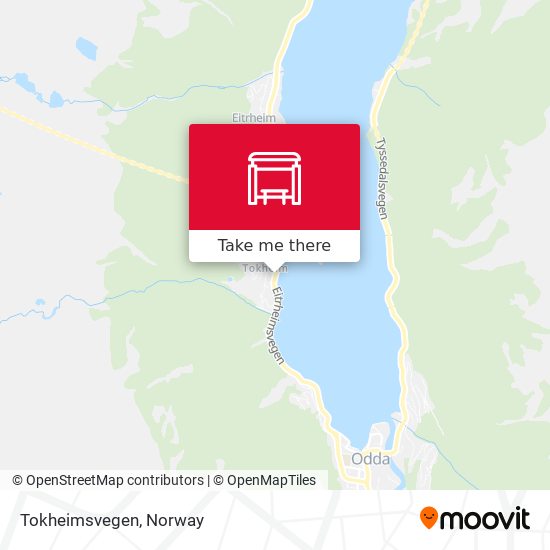 Tokheimsvegen map