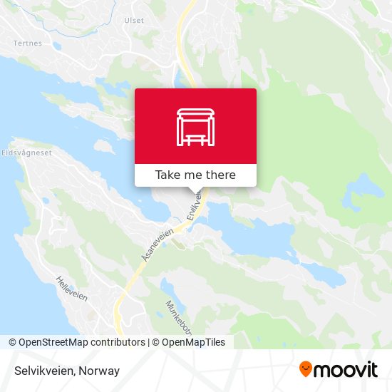 Selvikveien map