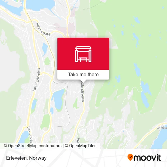 Erleveien map