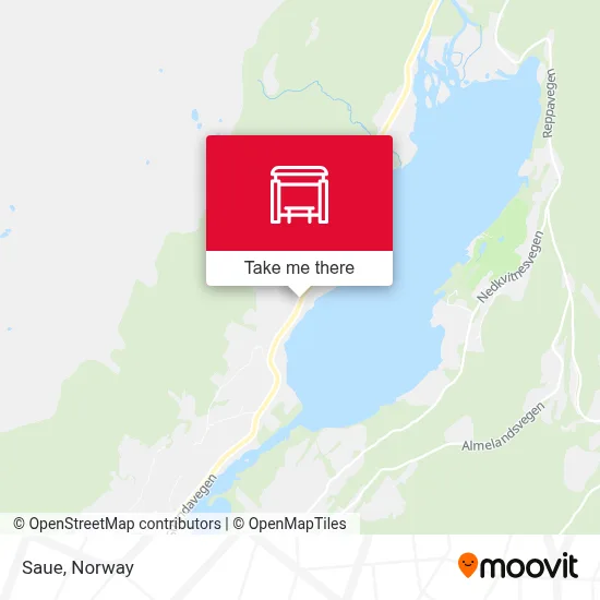 Saue map