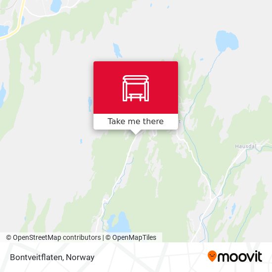 Bontveitflaten map