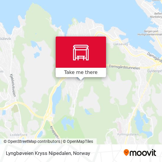 Lyngbøveien Kryss Nipedalen map