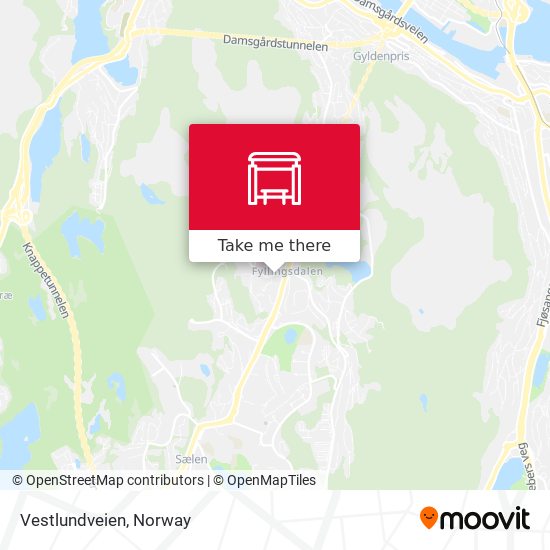 Vestlundveien map