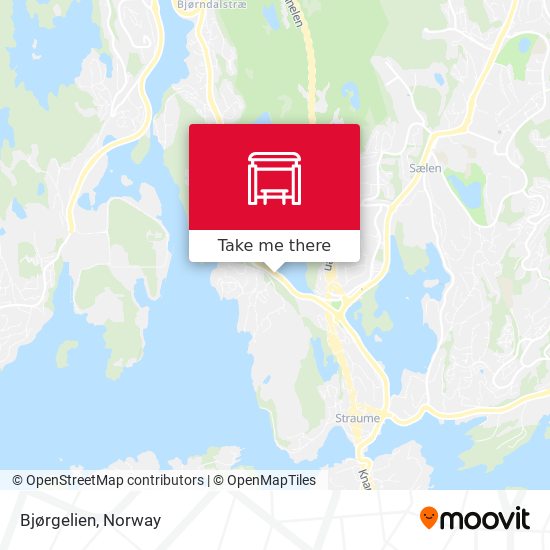 Bjørgelien map