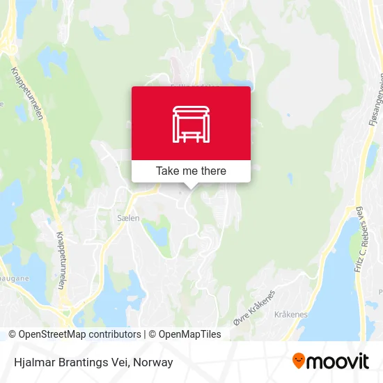 Hjalmar Brantings Vei map