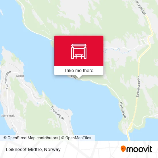 Leikneset Midtre map