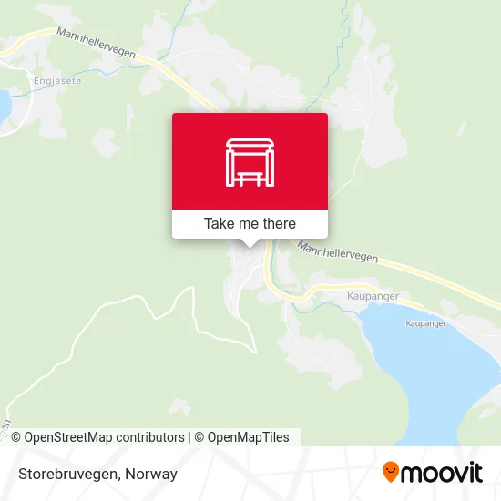 Storebruvegen map