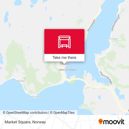 Torget map