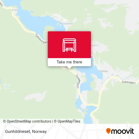 Gunhildneset map