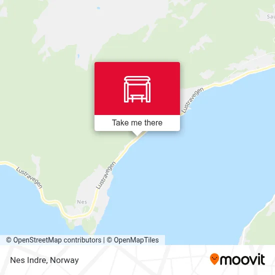 Nes Indre map