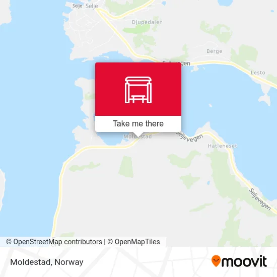 Moldestad map