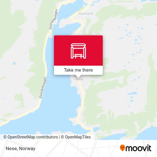 Nese map