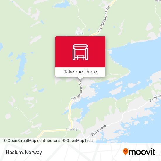 Haslum map
