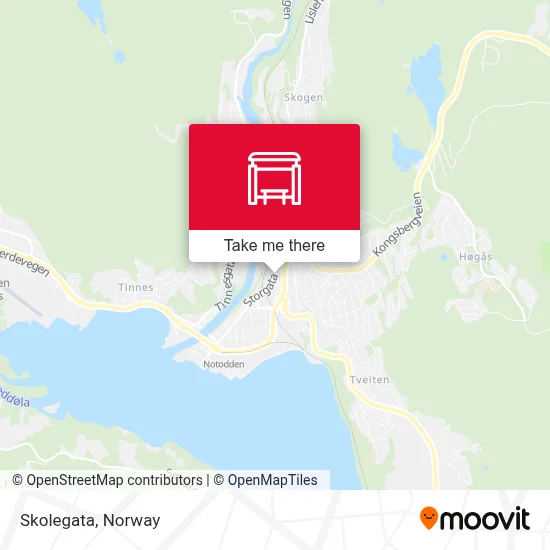 Skolegata map