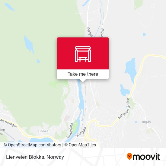 Lienveien Blokka map