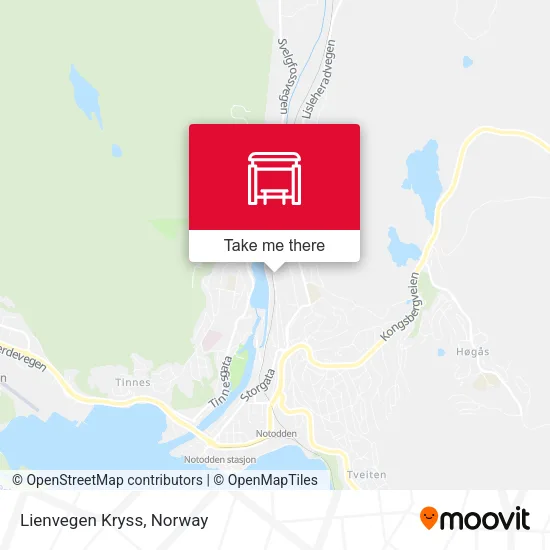 Lienvegen Kryss map
