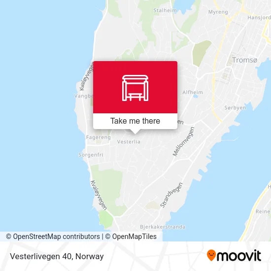 Vesterlivegen 40 map