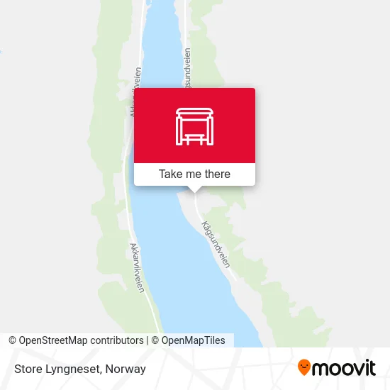 Store Lyngneset map