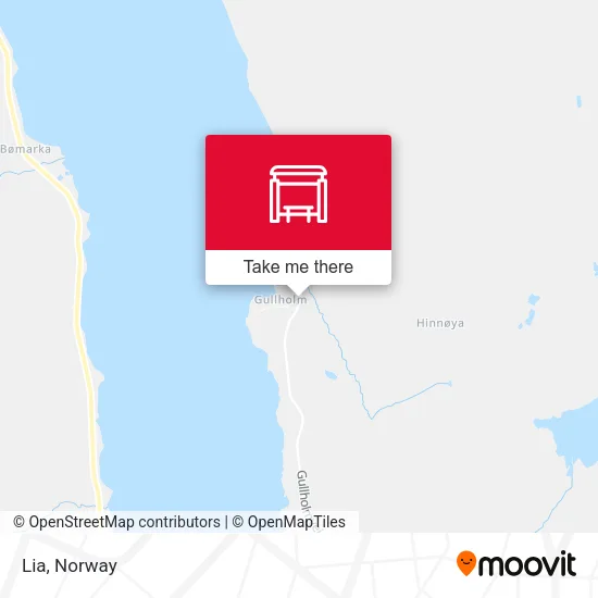 Lia map