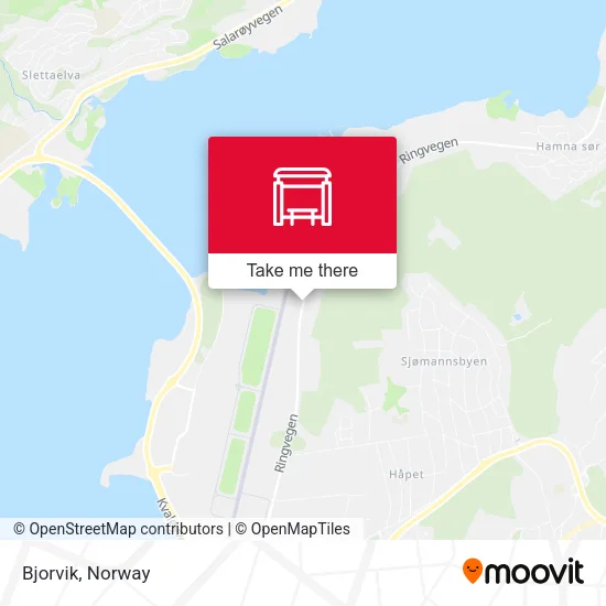 Bjorvik map