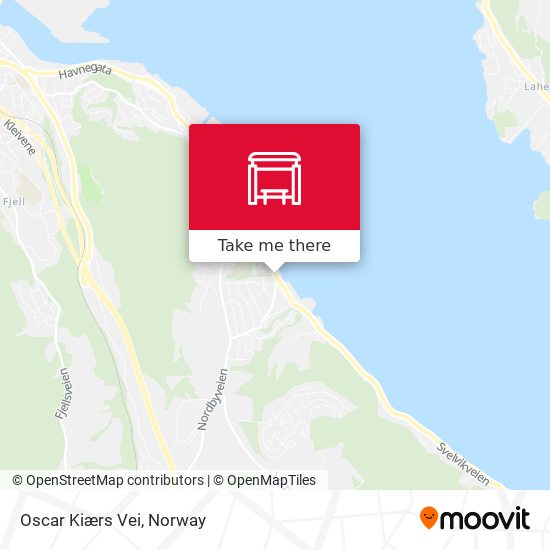 Oscar Kiærs Vei map