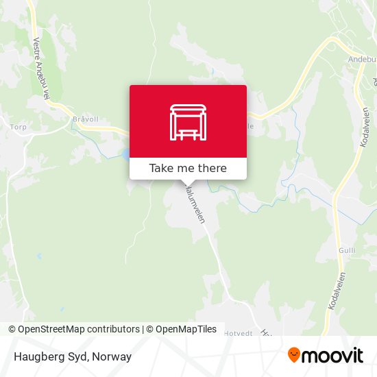 Haugberg Syd map