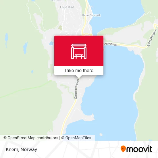 Knem map