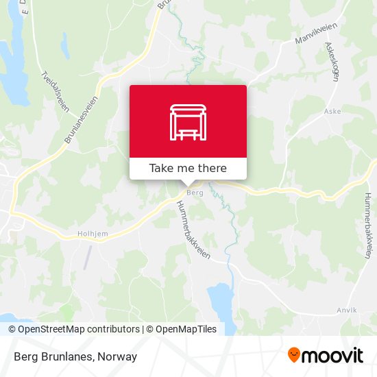Berg Brunlanes map
